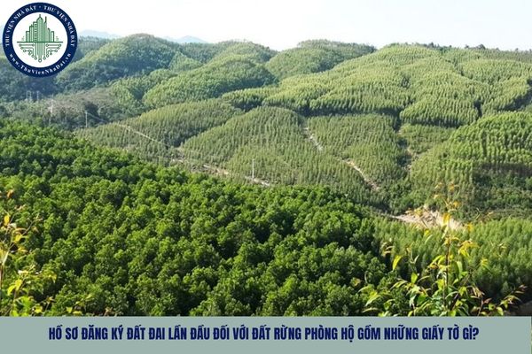 Hồ sơ đăng ký đất đai lần đầu đối với đất rừng phòng hộ gồm những giấy tờ gì?