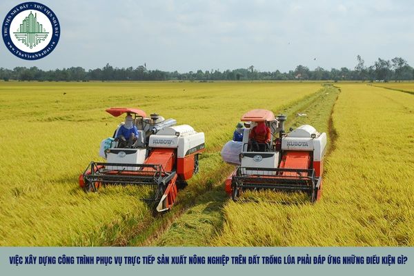 Việc xây dựng công trình phục vụ trực tiếp sản xuất nông nghiệp trên đất trồng lúa phải đáp ứng những điều kiện gì?