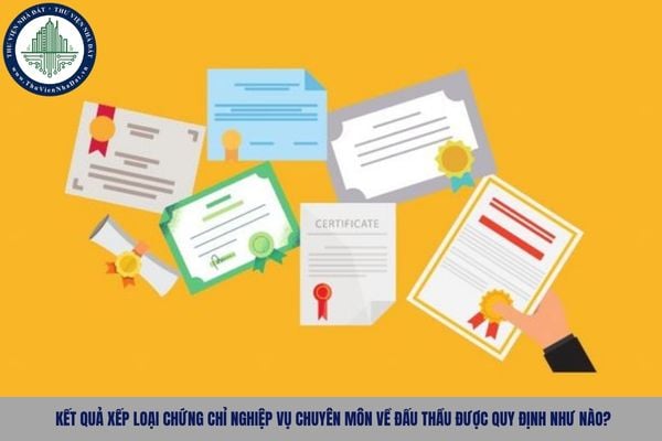 Kết quả xếp loại chứng chỉ nghiệp vụ chuyên môn về đấu thầu được quy định như nào?