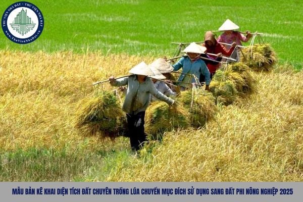 Mẫu bản kê khai diện tích đất chuyên trồng lúa chuyển mục đích sử dụng sang đất phi nông nghiệp 2025