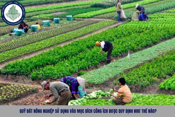 Quỹ đất nông nghiệp sử dụng vào mục đích công ích được quy định như thế nào?