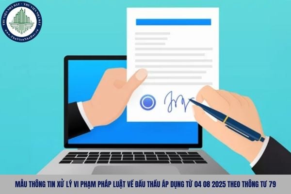 Mẫu thông tin xử lý vi phạm pháp luật về đấu thầu áp dụng từ 04 08 2025 theo Thông tư 79