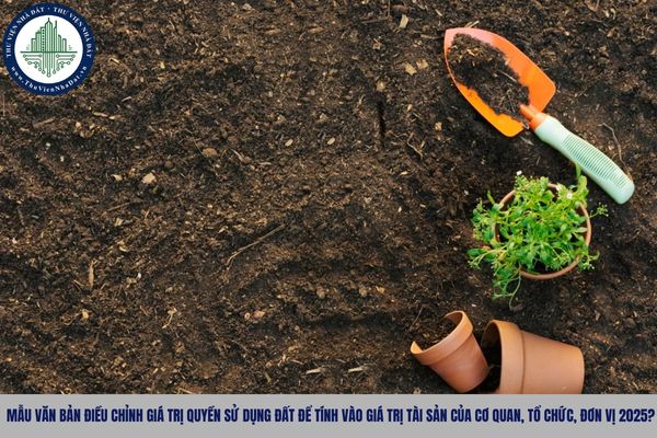 Mẫu văn bản điều chỉnh giá trị quyền sử dụng đất để tính vào giá trị tài sản của cơ quan, tổ chức, đơn vị 2025? 