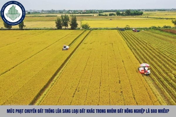 Mức phạt chuyển đất trồng lúa sang loại đất khác trong nhóm đất nông nghiệp là bao nhiêu?