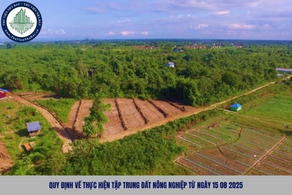 Quy định về thực hiện tập trung đất nông nghiệp từ ngày 15 08 2025