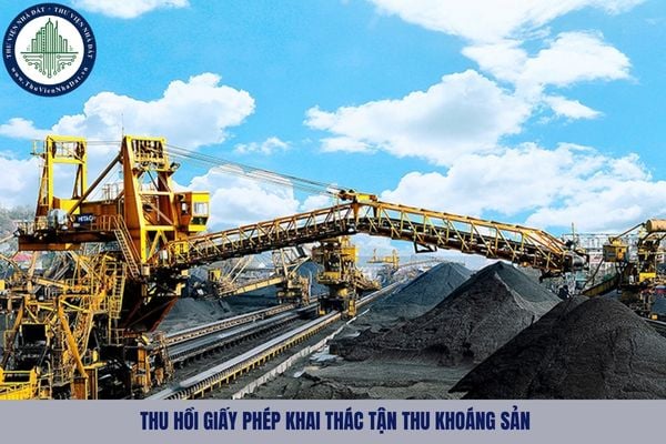 Giấy phép khai thác tận thu khoáng sản bị thu hồi trong trường hợp nào?