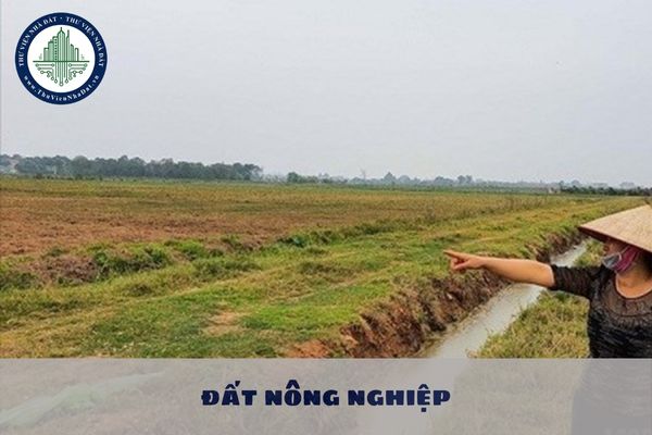 Thời hạn cho thuê đất nông nghiệp đối với cá nhân là bao lâu?