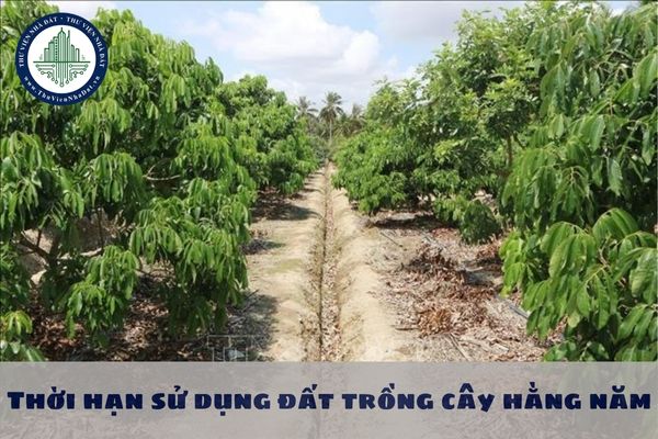 Thời hạn sử dụng đất trồng cây hằng năm là bao lâu? Có làm thủ tục gia hạn khi hết thời hạn sử dụng đất không?