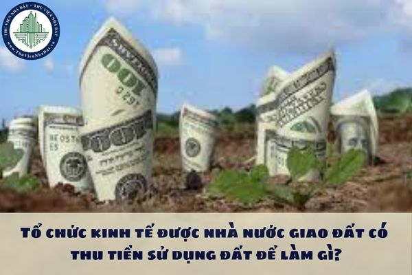 Tổ chức kinh tế được nhà nước giao đất có thu tiền sử dụng đất để làm gì?