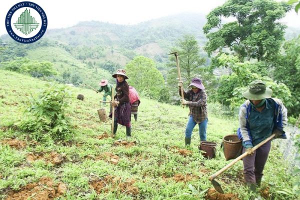 Trường hợp đồng bào dân tộc thiểu số không còn đất ở Nhà nước sẽ thực hiện hỗ trợ đất đai như thế nào?