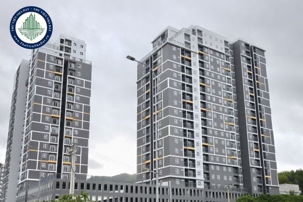 https://cdn.thuviennhadat.vn/upload/hinh-anh-bai-viet/LTMD/thang-10-2025/11/noxh-bong-hong-gia-lai.jpg