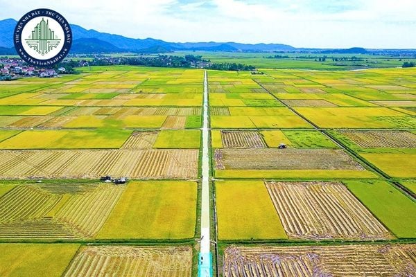 https://cdn.thuviennhadat.vn/upload/hinh-anh-bai-viet/LTMD/thang-10-2025/28/tai-file-du-thao-bang-gia-dat-nong-nghiep-tai-thai-nguyen-2026-chi-tiet-92-xa-phuong.jpg