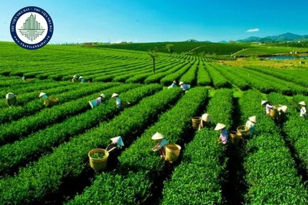 https://cdn.thuviennhadat.vn/upload/hinh-anh-bai-viet/LTMD/thang-10-2025/28/tai-file-du-thao-bao-cao-thuyet-minh-bang-gia-dat-2026-thai-nguyen.jpg