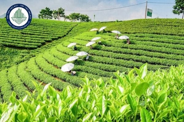 https://cdn.thuviennhadat.vn/upload/hinh-anh-bai-viet/LTMD/thang-10-2025/28/tron-bo-file-du-thao-bang-gia-dat-2026-tinh-thai-nguyen-moi-nhat.jpg
