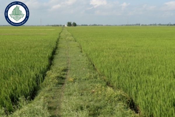 Bổ sung dự án thu hồi đất năm 2025 và dự án chuyển mục đích sử dụng đất trồng lúa tại Hà Nội