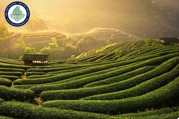 Tăng cường quản lý đất đai tại tỉnh Thái Nguyên sau sáp nhập tỉnh (Chỉ thị 21/CT-UBND)
