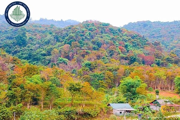 Chuyển mục đích sử dụng rừng sang mục đích khác để thực hiện các dự án tại tỉnh Nghệ An
