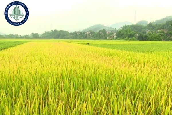 Nghị quyết 686/NQ-HĐND: Chuyển mục đích sử dụng đất trồng lúa tại tỉnh Hưng Yên