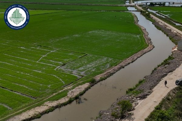 Dự án thu hồi đất và chuyển mục đích sử dụng đất trồng lúa tại Quảng Trị (Nghị quyết 43/NQ-HĐND)
