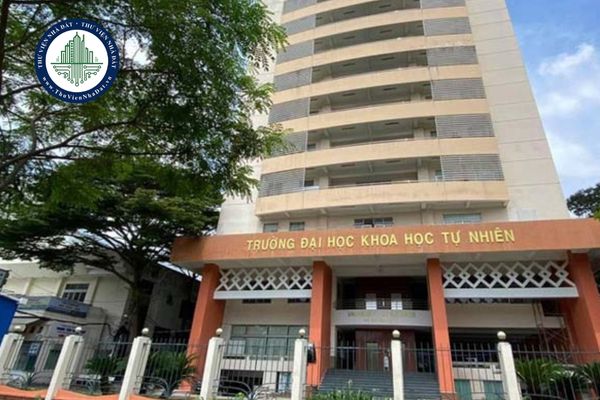 Gợi ý khu vực cho thuê trọ gần trường Đại học Khoa học Tự nhiên (HUS) cơ sở quận 5 dành cho tân sinh viên