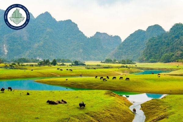 Phú Thọ giao đất thực hiện dự án Trường Phổ thông Dân tộc nội trú Trung học cơ sở và Trung học phổ thông huyện Lạc Sơn
