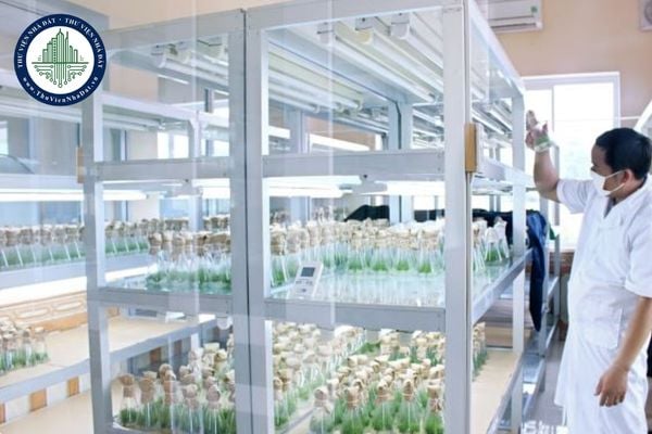 Hình thức sử dụng đất của Trung tâm Nghiên cứu thực nghiệm Lâm nghiệp Đông Nam Bộ tại xã Tân An, tỉnh Đồng Nai