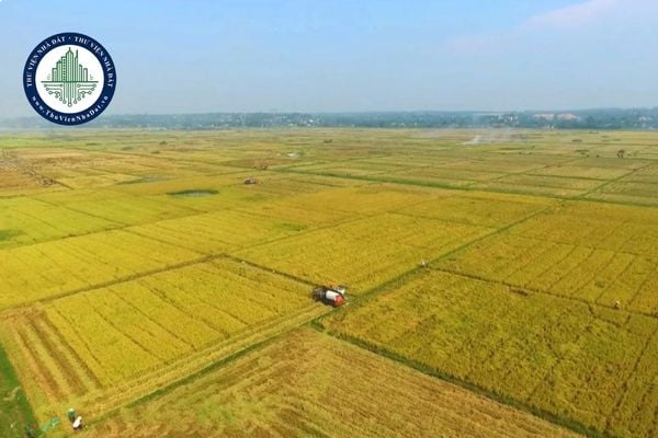 https://cdn.thuviennhadat.vn/upload/hinh-anh-bai-viet/LTMD/thang-9/10/dinh-gia-dat-quang-tri.jpg