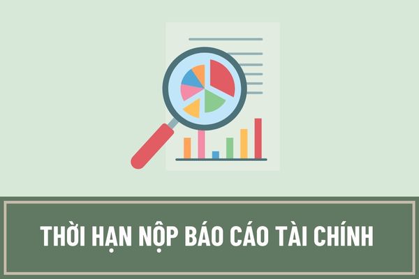 Thời hạn nộp báo cáo tài chính năm 2022 là khi nào? Báo cáo tài chính năm của doanh nghiệp gồm những báo cáo nào?