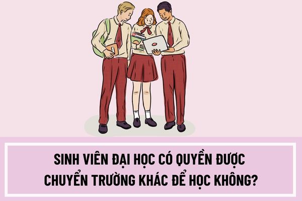 Sinh viên đại học có quyền được chuyển trường khác để học không? Điều kiện chuyển sang trường khác để học của sinh viên là gì?