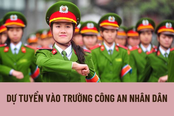 Tiêu chuẩn về trình độ văn hóa để được dự tuyển vào trường Công an nhân dân theo quy định hiện hành như thế nào?