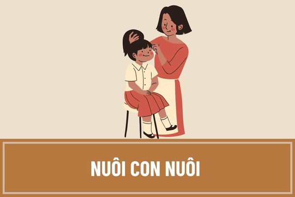 Việc nuôi con nuôi bị chấm dứt khi nào? Chủ thể nào có quyền yêu cầu chấm dứt việc nuôi con nuôi?