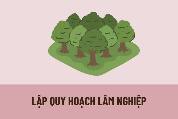 Việc lập quy hoạch lâm nghiệp phải tuân thủ nguyên tắc nào? Quy hoạch lâm nghiệp phải bao gồm những nội dung nào?