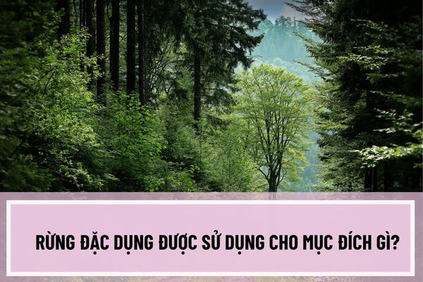 Rừng đặc dụng được sử dụng cho mục đích gì? Việc khai thác lâm sản trong rừng đặc dụng được quy đinh như thế nào?