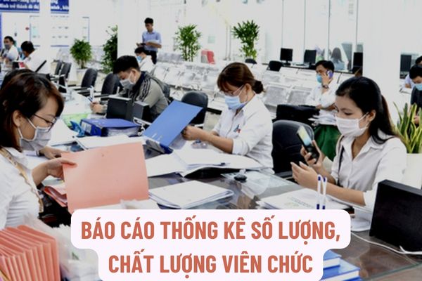 Thực hiện báo cáo thống kê số lượng, chất lượng viên chức, báo cáo thống kê tiền lương viên chức như thế nào?