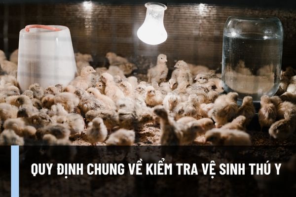 Quy định chung về kiểm tra vệ sinh thú y như thế nào? Yêu cầu vệ sinh thú y đối với cơ sở giết mổ động vật trên cạn như thế nào? 