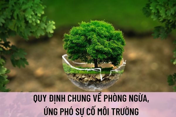 Sự cố môi trường là gì? Quy định chung về phòng ngừa, ứng phó sự cố môi trường như thế nào?