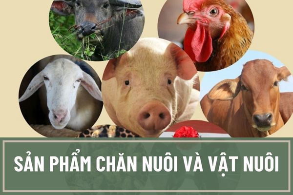 Việc nhập khẩu và xuất khẩu vật nuôi và sản phẩm chăn nuôi được quy định như thế nào theo quy định hiện nay?