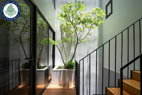 Những vị trí phù hợp để đặt giếng trời trong nhà