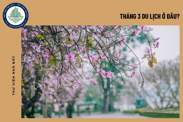 Tháng 3 du lịch ở đâu? Top 10 biệt thự du lịch nổi tiếng Việt Nam