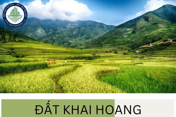 Đất ở tự khai hoang có được cấp giấy chứng nhận quyền sử dụng đất không?