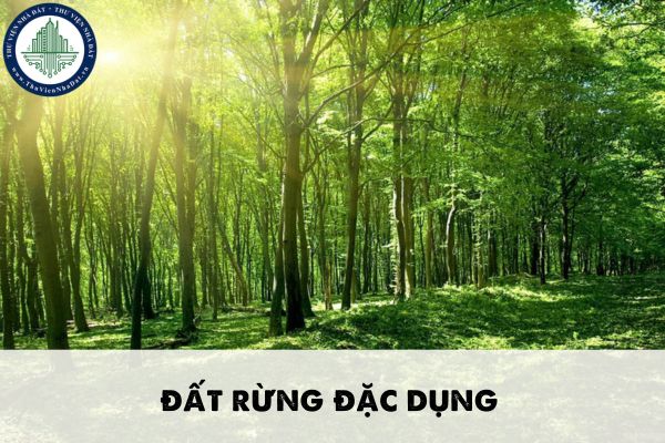 Cá nhân có được nhà nước giao đất rừng đặc dụng không?