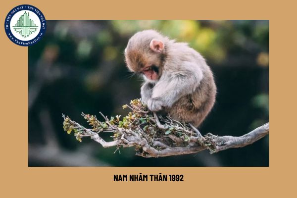 Nam Nhâm Thân 1992 mệnh gì? Nam Nhâm Thân 1992 chọn nhà màu gì cho tài lộc, an cư?