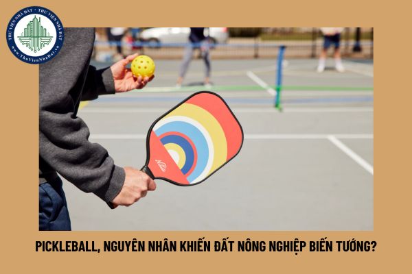 Pickleball, nguyên nhân khiến đất nông nghiệp biến tướng?