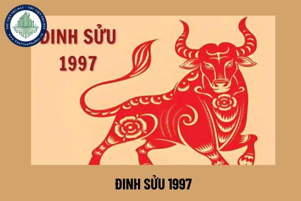 Lá số tử vi Đinh Sửu 1997, vận mệnh và cuộc đời của người sinh năm Đinh Sửu 1997