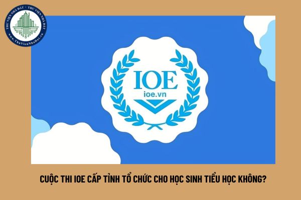 Cuộc thi IOE cấp tỉnh tổ chức cho học sinh tiểu học không?