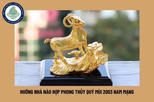 Hướng nhà nào hợp phong thủy Quý Mùi 2003 nam mạng