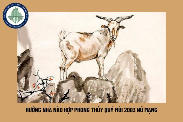 Cách chọn hướng nhà hợp phong thủy Quý Mùi 2003 nữ mạng