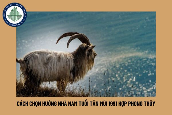 Cách chọn hướng nhà nam tuổi Tân Mùi 1991 hợp phong thủy