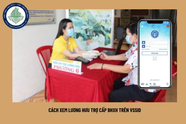 Cách xem lương hưu trợ cấp BHXH trên VssID