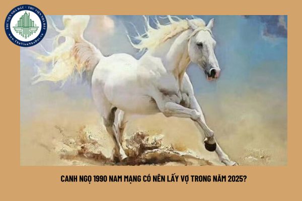 Canh Ngọ 1990 nam mạng có nên lấy vợ trong năm 2025?